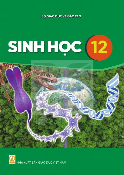 Sách giáo khoa Sinh học 12 - Kết nối tri thức 2026-2027